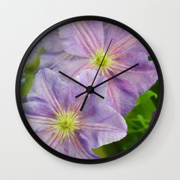Clematis florida Wall Clock | Asianvirginsbower, Digital, Sieboldiana, Climbingplant, Flower, Garden, Flowers, Westdean, Hampshire, Color 