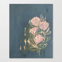 protea dream Canvas Print