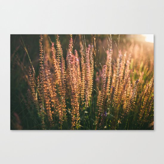 Flora Canvas Print