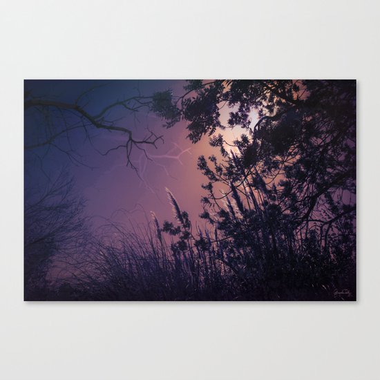 Moonlight Sonata (Tree and Reed Plant Silhouette) Canvas Print
