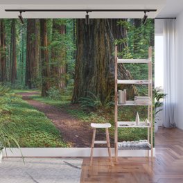 A Walk in the Redwoods Wall Mural