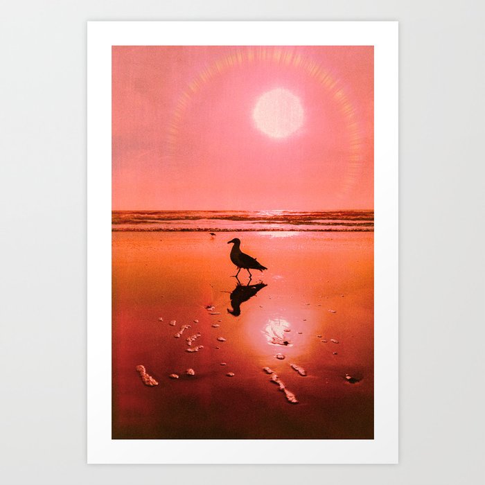 Seabird at Sunset  v.1 Art Print