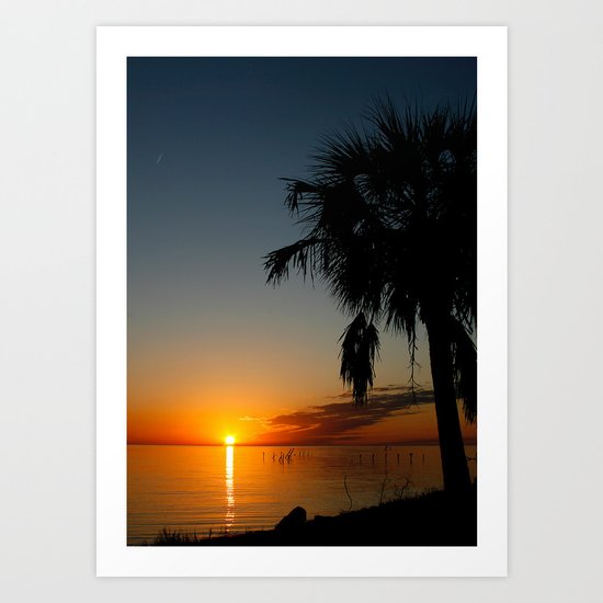 Palm Tree Sunset Art Print