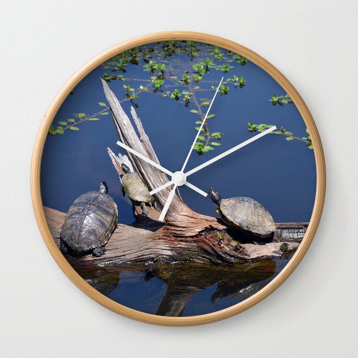 Turtles Wall Clock
