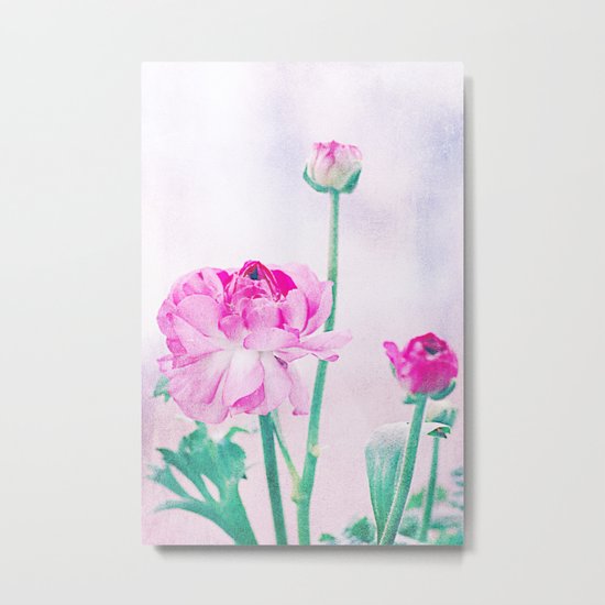 Vintage Ranunculus (7) Metal Print