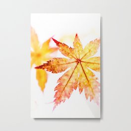 Stained Glass Metal Print | Bokeh, Digital, Photo, Autumnleaves, Orange, Macro, Maple, Nature, Color, Fall 