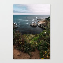 Big Sur Coastal Path Wall Art | California Highway 1 Nature Flowers Ocean Beach Coastal Travel Photography Print Canvas Print
