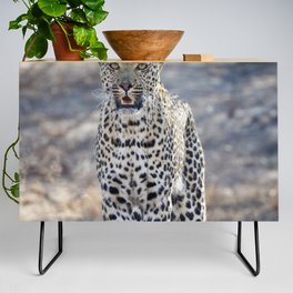 South Africa Photography - White Leopard In The Winter Weather Credenza