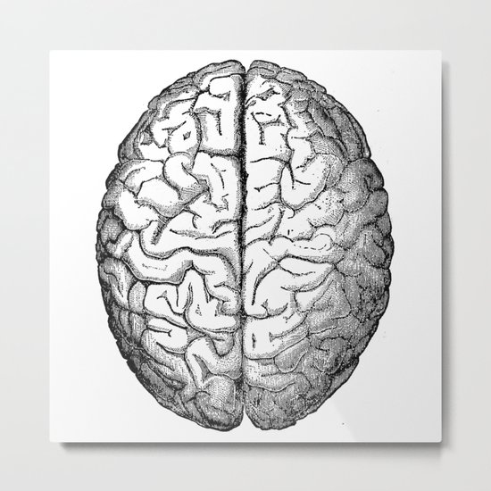 Brain Metal Print