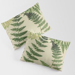 Botanical Ferns Pillow Sham