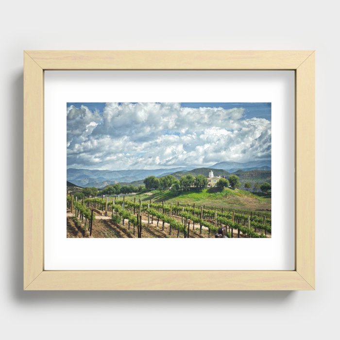 Vineyards, Temecula, CA Recessed Framed Print