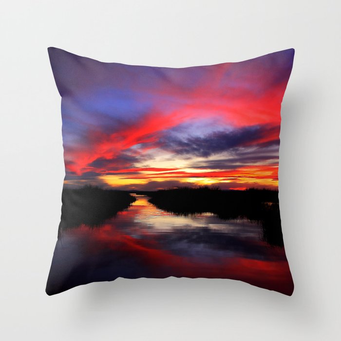 Ride of the Valkries.. Throw Pillow