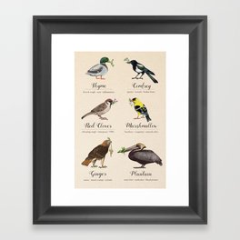 Birds, Herbs, and their Uses: Second Set Framed Art Print