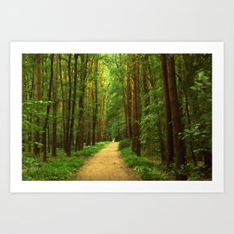 Forest path Art Print