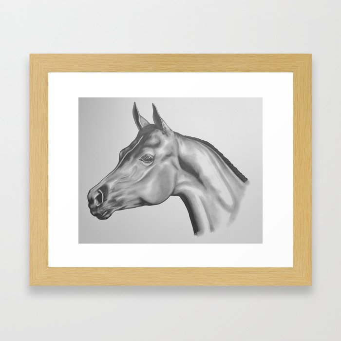Show Horse in Pencil Framed Art Print
