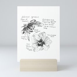 Hibiscus syriacus Mini Art Print