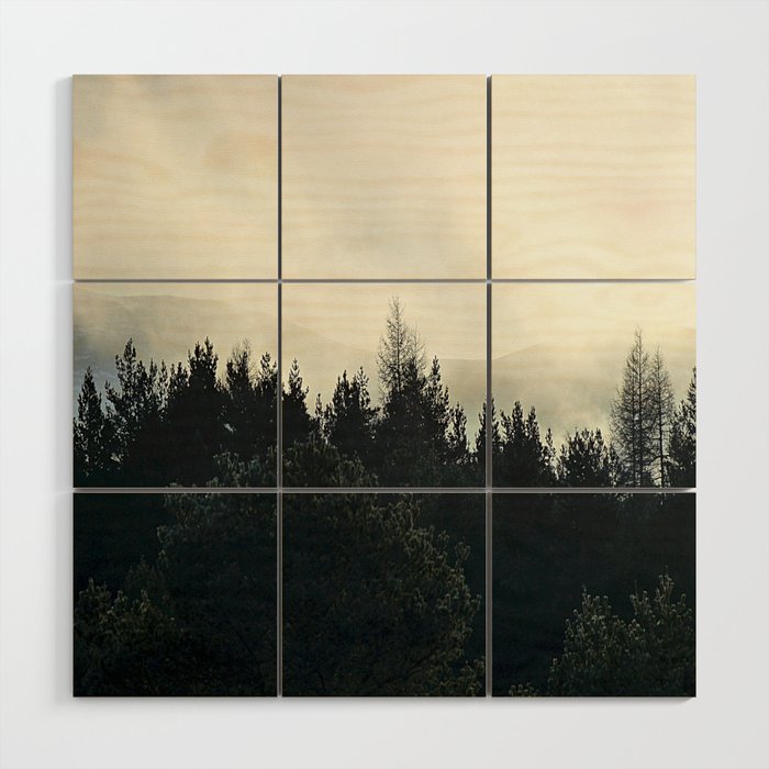 Scottish Highlands Pine Forest Misty Nature Scene in Afterglow  Wood Wall Art