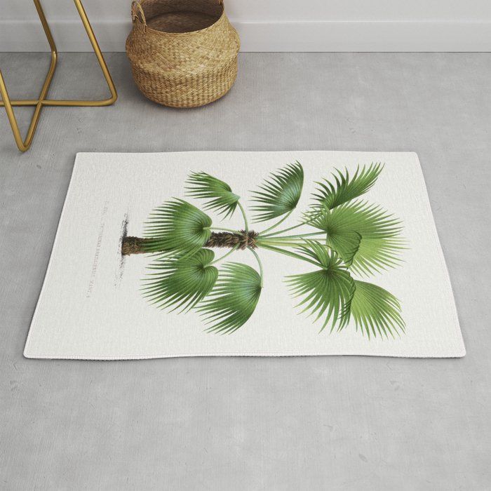 Vintage botanical print - palm tree illustration  Rug