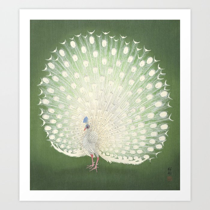 Peacock, Ohara Koson - Japanese Woodcut Kunstdrucke Peacock, Ohara Koson - Japanese Woodcut Kunstdrucke