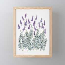 Lavender, Illustration Framed Mini Art Print