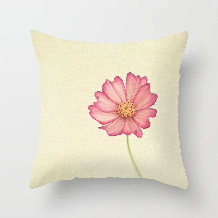 Stay the Same Throw Pillow