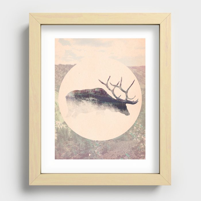 Elk Recessed Framed Print