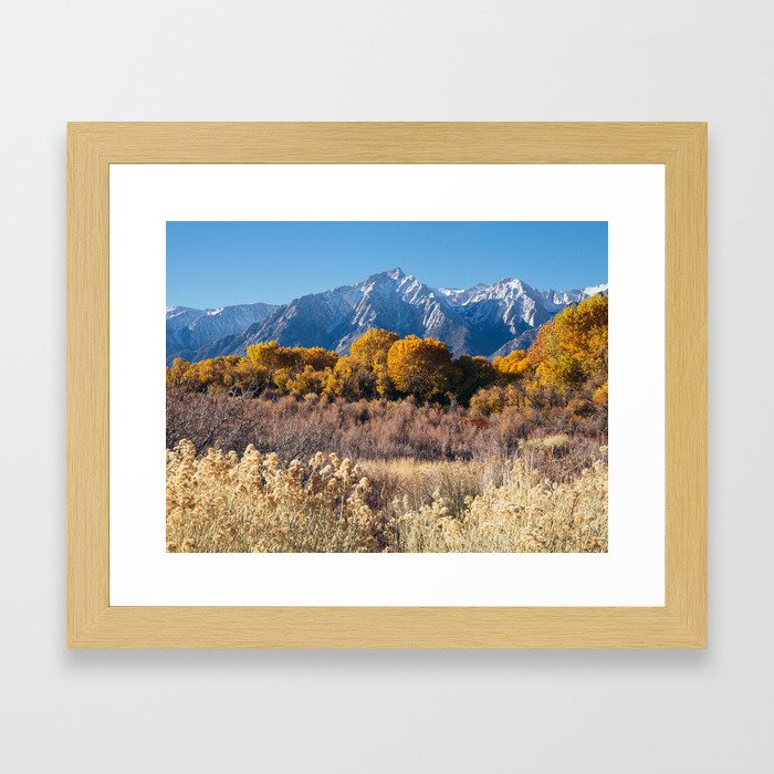 Autumn in the Eastern Sierras Framed Art Print