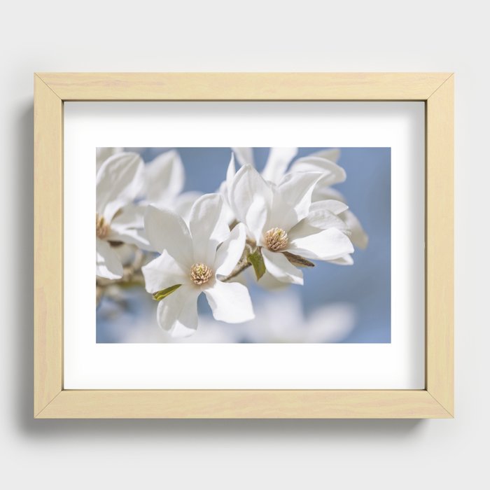 White Magnolia Recessed Framed Print