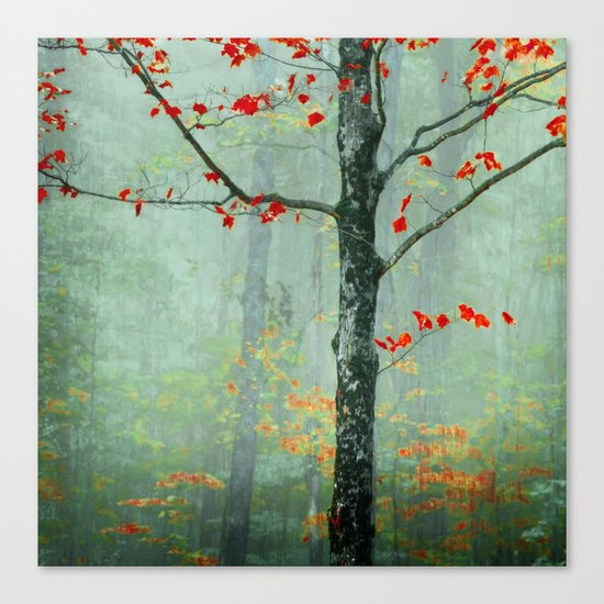 Another Day, Another Fairytale Canvas Print
