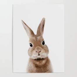 Bunny Print Poster