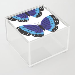 butterfly Acrylic Box
