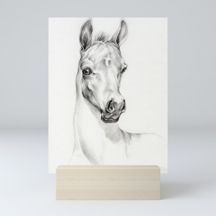  Foal Portrait Graphite pencil drawing Equine illustration Mini Art Print