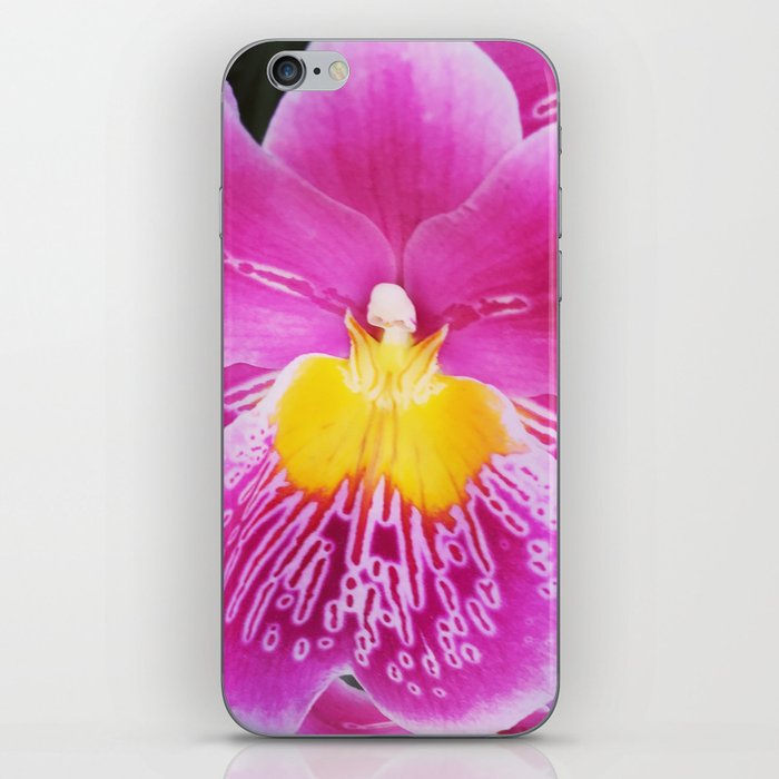 Pansy Orchid iPhone Skin