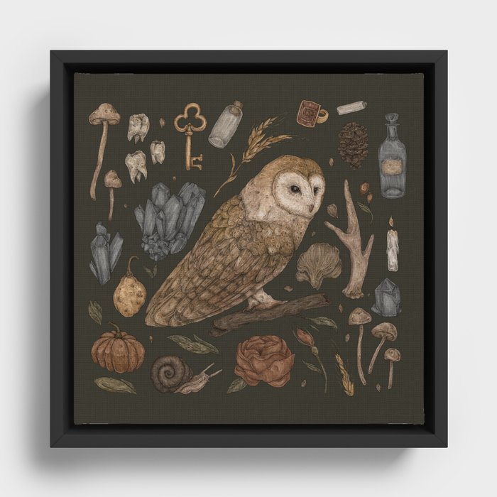 Harvest Owl Framed Canvas