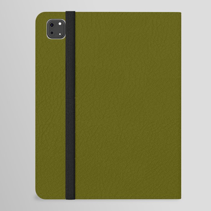 Monochrome green 85-85-0 iPad Folio Case