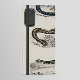 Spotted Worm Lizard, Blind Snakes, & Shield Tail Snakes Android Wallet Case