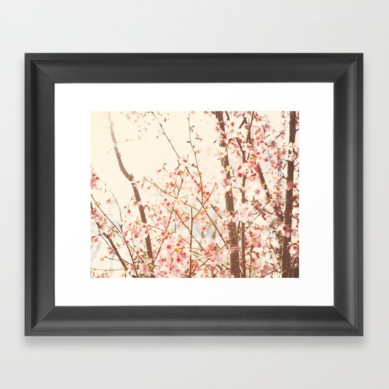 Spring Cherry Blossoms Framed Art Print
