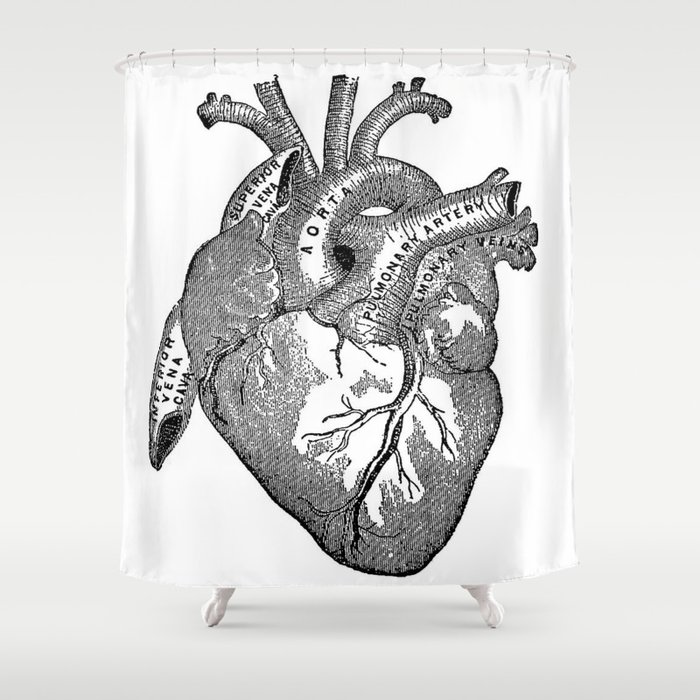 Vintage Anatomy Heart Shower Curtain