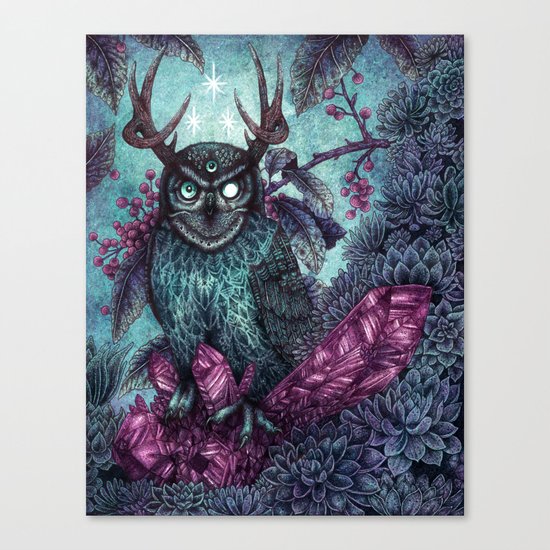 Night Owl Canvas Print