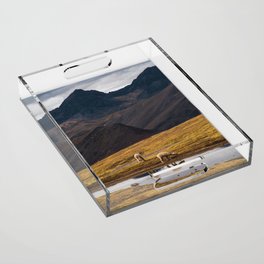 Mountains Acrylic Tray