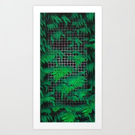 Fern Grid Plant Wall Art Print