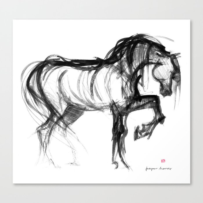 Horse (Saklavi) Canvas Print
