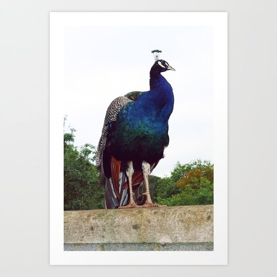 Shes a brick house Art Print