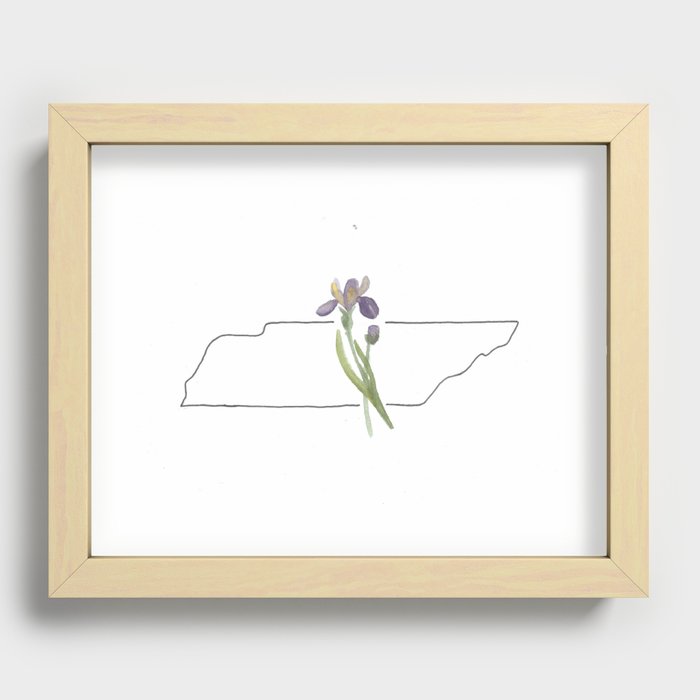 tennesee state flower iris watercolor Recessed Framed Print