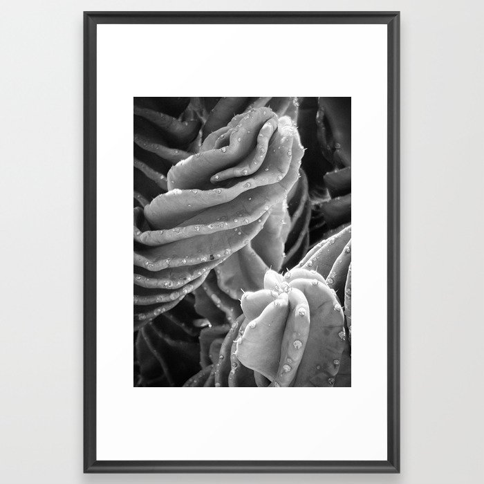 Abstract Cactus Framed Art Print