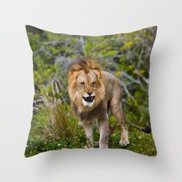 The Lion Throw Pillow
