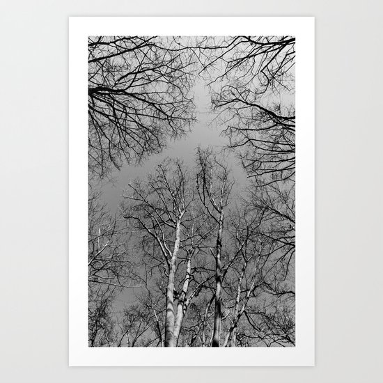 Branching Out Art Print