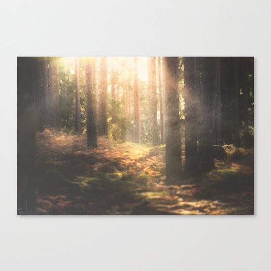 When rainbows sleep Canvas Print