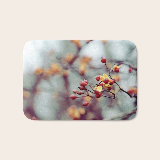 Frozen Fruit Bath Mat