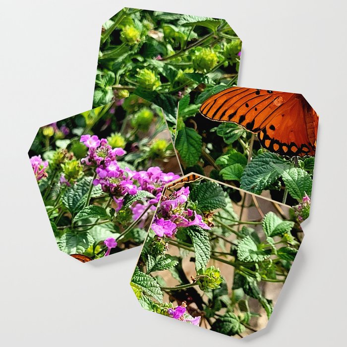 Vibrant Butterfly Coaster